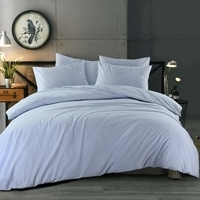 Slaapkamer met een lichtblauw dekbed en een klok, biedt een rustige en uitnodigende sfeer voor een goede nachtrust.